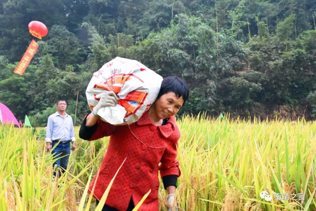 有硒更健康富硒农产品(中农健康硒的功效)-硒宝网