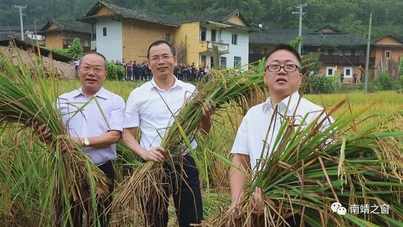 有硒更健康富硒农产品(中农健康硒的功效)-硒宝网