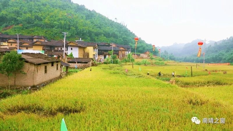 有硒更健康富硒农产品(中农健康硒的功效)-硒宝网