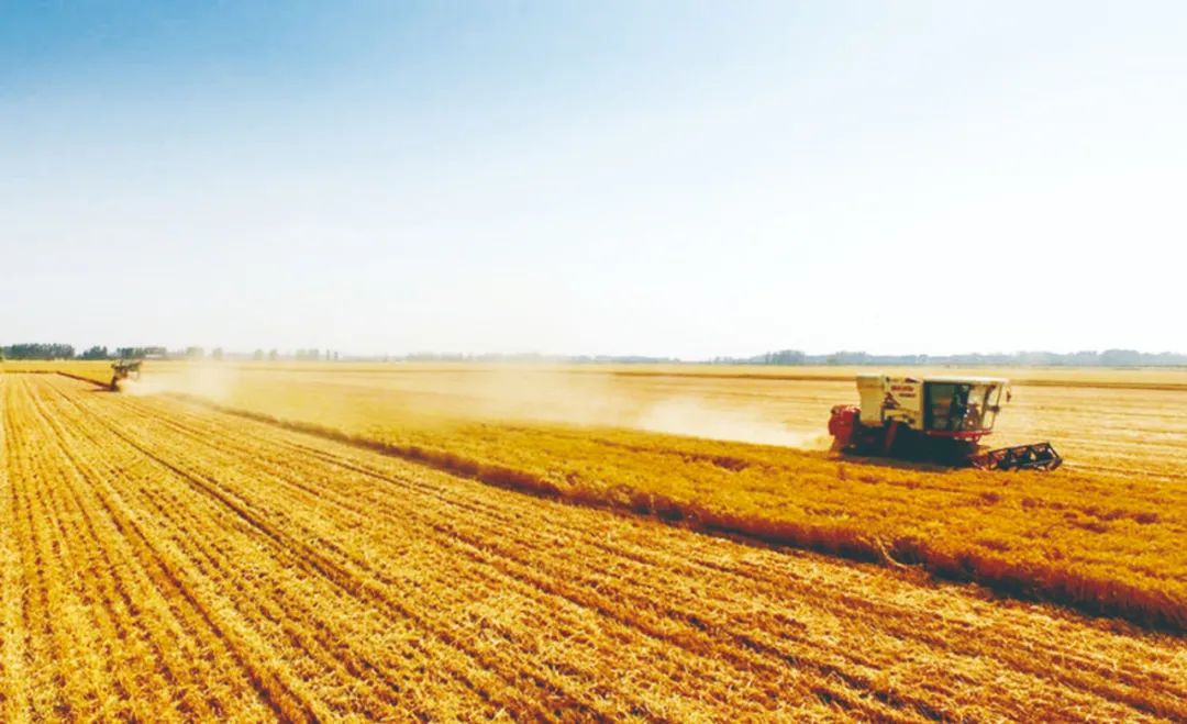 富硒粮仓卖的什么产品(粮仓卖富硒产品怎么样)-硒宝网