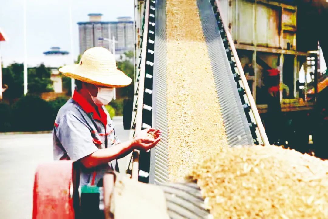 富硒粮仓卖的什么产品(粮仓卖富硒产品怎么样)-硒宝网