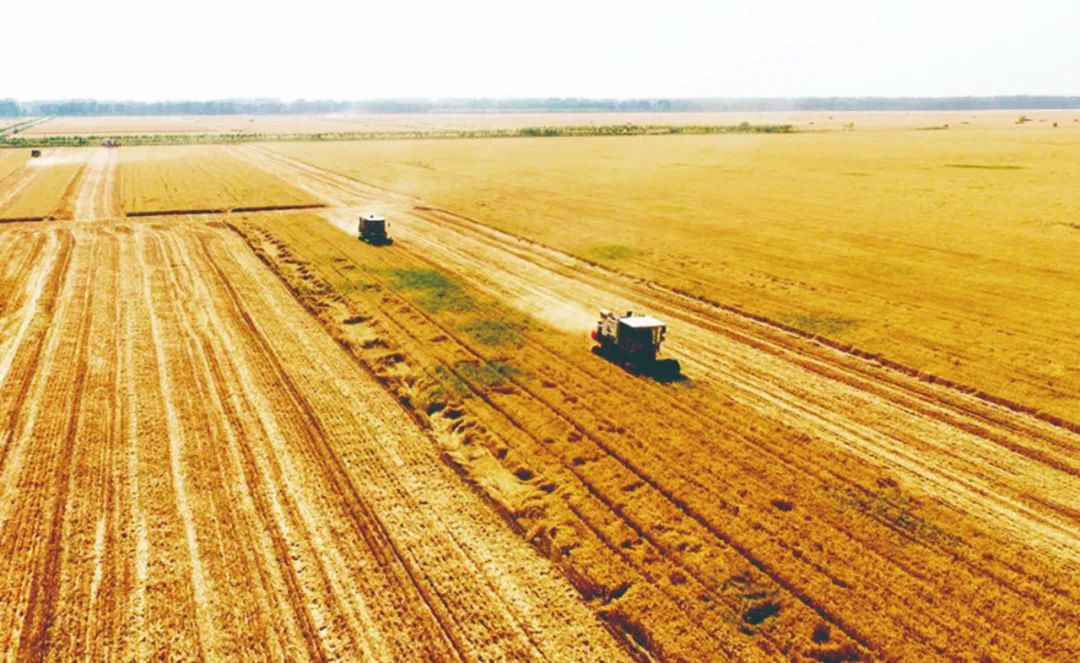 富硒粮仓卖的什么产品(粮仓卖富硒产品怎么样)-硒宝网