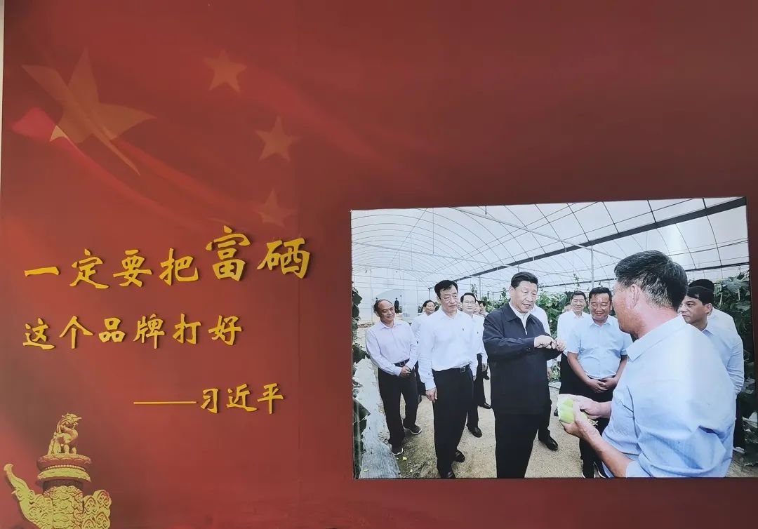 江西富硒农产品 检测(江西省富硒农产品标准)-硒宝网