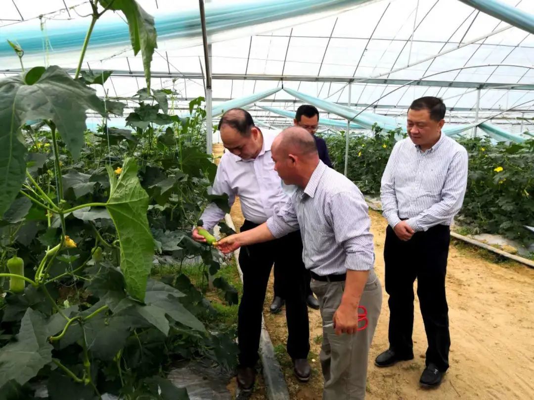 江西富硒农产品 检测(江西省富硒农产品标准)-硒宝网