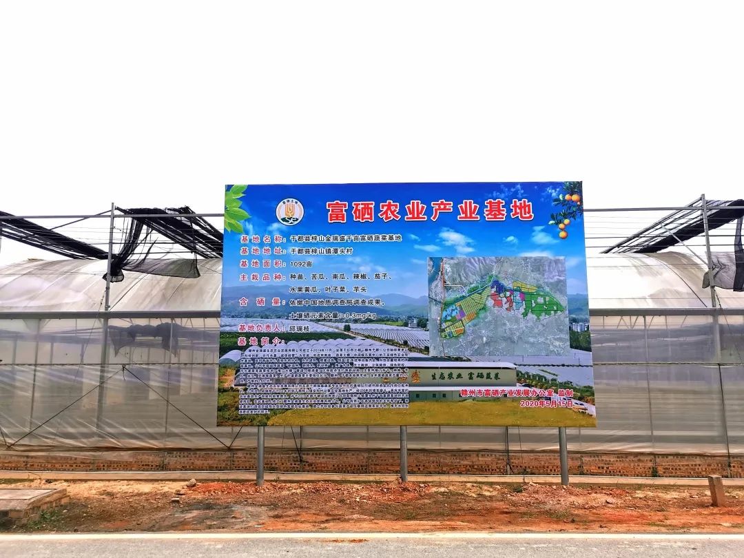 江西富硒农产品 检测(江西省富硒农产品标准)-硒宝网