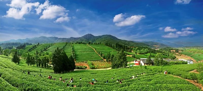 江西富硒农产品 检测(江西省富硒农产品标准)-硒宝网