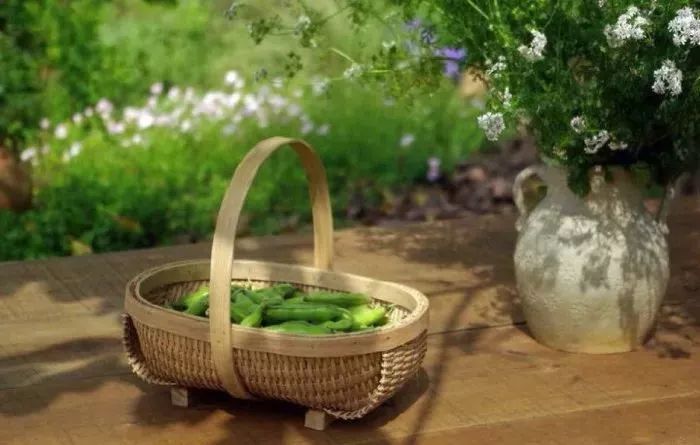 日本来中国买富硒产品(日本富硒水杯)-硒宝网