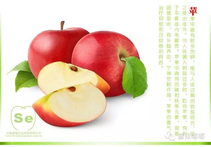 孕妇可以吃富硒产品吗（孕妇吃富硒产品可以补钙吗）-硒宝网