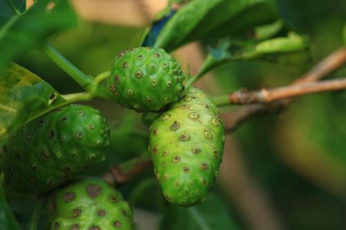 富硒产品是不是智商税(何为富硒产品)-硒宝网