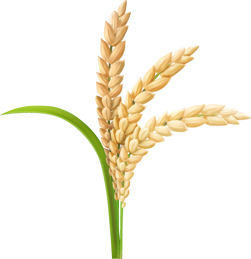 南京做富硒产品的公司(南京富硒做产品公司有哪些)-硒宝网