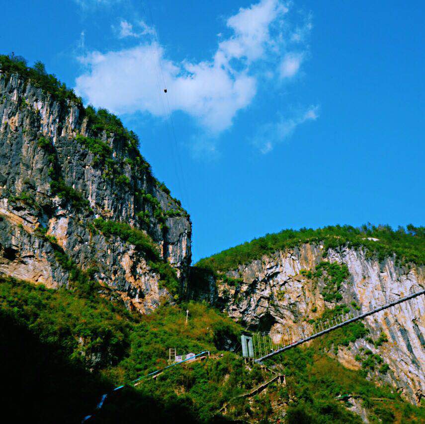 关口葡萄是富硒产品吗（富硒葡萄的口感）-硒宝网