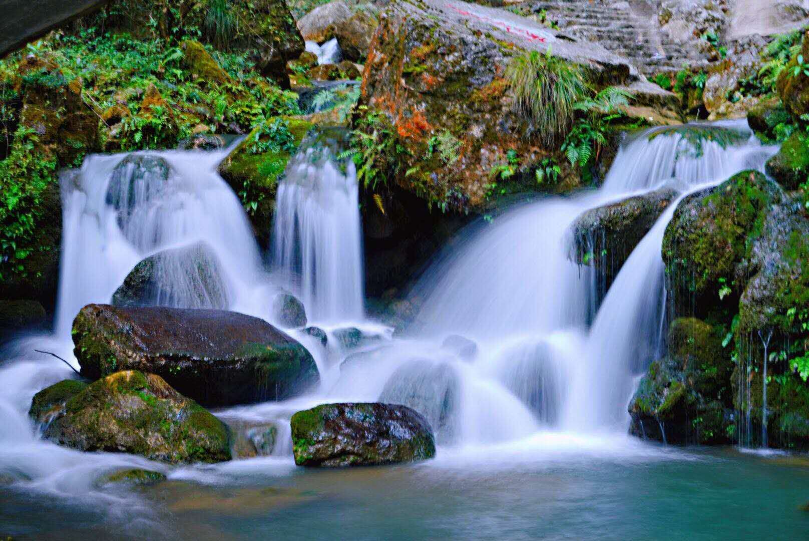 关口葡萄是富硒产品吗（富硒葡萄的口感）-硒宝网