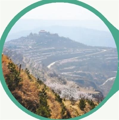 关口葡萄是富硒产品吗（关口葡萄营养价值）-硒宝网