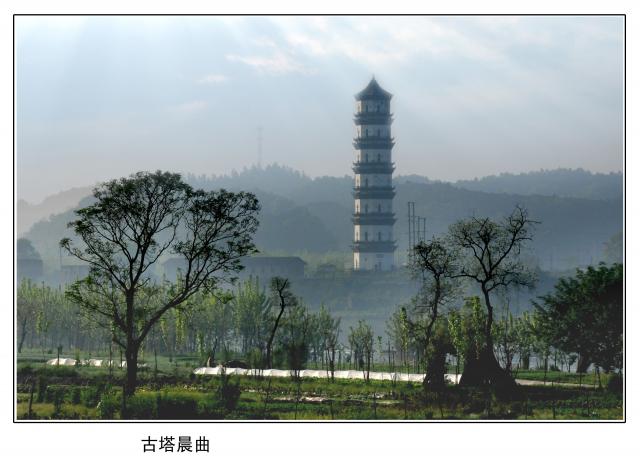 宜春富硒产品有哪些厂(宜春富硒)-硒宝网