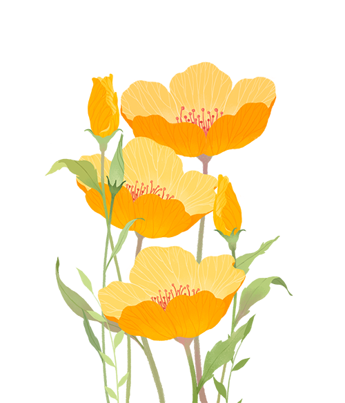 吃富硒产品有什么好处（吃富硒食品的好处）-硒宝网