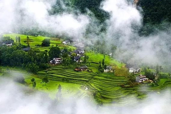 广西永福有富硒产品吗（广西永福富硒产品有假货吗）-硒宝网