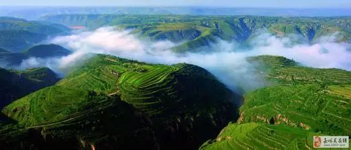 广西永福有富硒产品吗（广西永福富硒产品有假货吗）-硒宝网