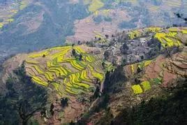 广西永福有富硒产品吗（广西永福富硒产品有假货吗）-硒宝网