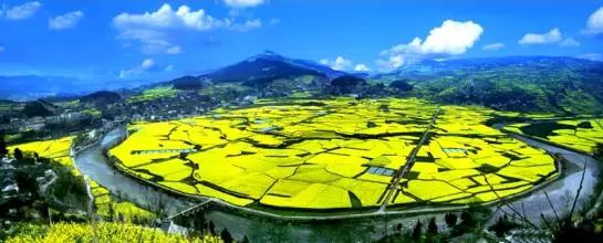 广西永福有富硒产品吗（广西永福富硒产品有假货吗）-硒宝网