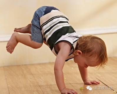 补锌 食物(吃什么食物补锌)-硒宝网