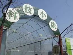 农产品富硒西红柿标准(富硒西红柿是什么颜色)-硒宝网