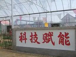 农产品富硒西红柿标准(富硒西红柿是什么颜色)-硒宝网