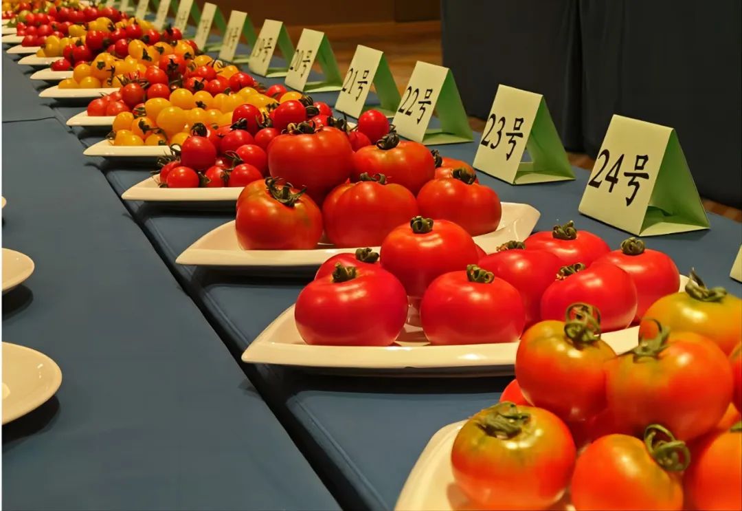 农产品富硒西红柿标准(富硒西红柿价格)-硒宝网