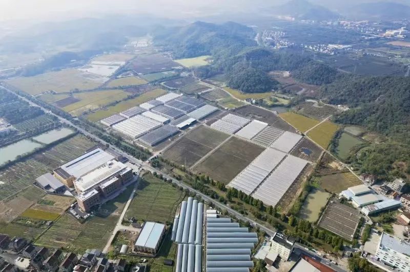 农产品富硒西红柿标准(富硒西红柿价格)-硒宝网