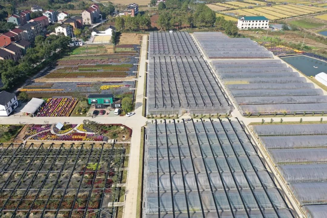 农产品富硒西红柿标准(富硒西红柿价格)-硒宝网