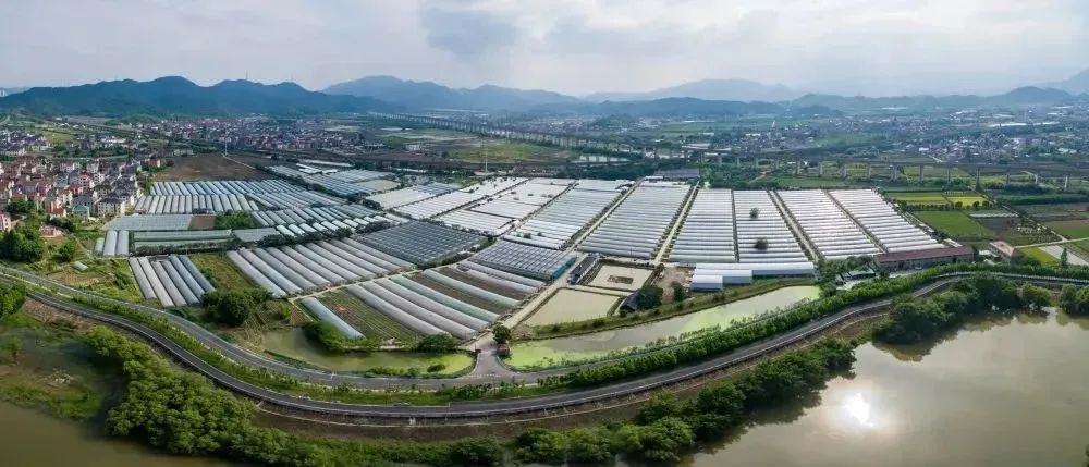 农产品富硒西红柿标准(富硒西红柿价格)-硒宝网