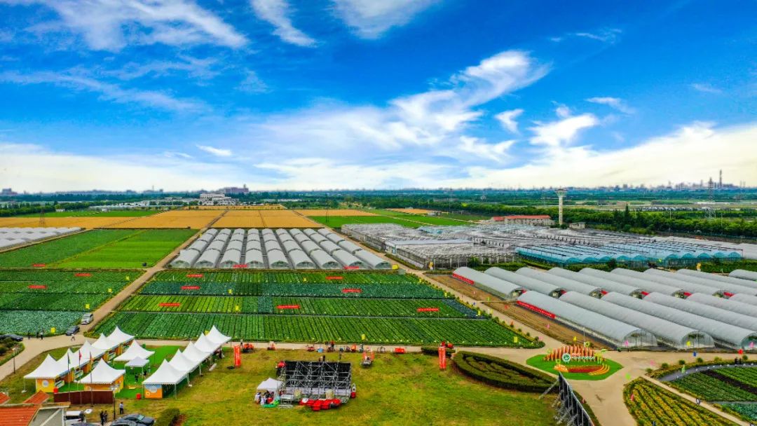 农产品富硒西红柿标准(富硒西红柿价格)-硒宝网