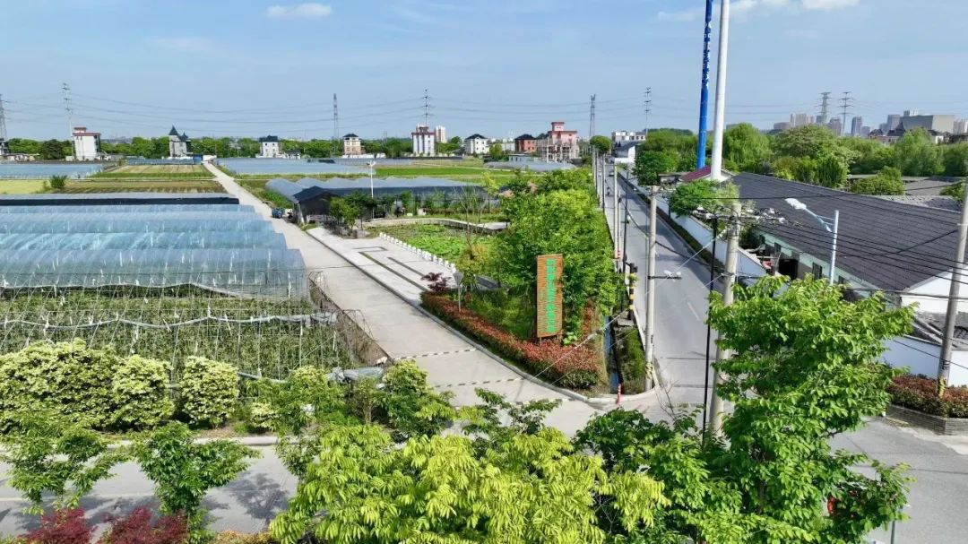 农产品富硒西红柿标准(富硒西红柿价格)-硒宝网