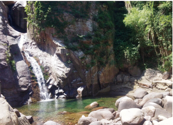 高端富硒产品有哪些好（富硒品牌）-硒宝网