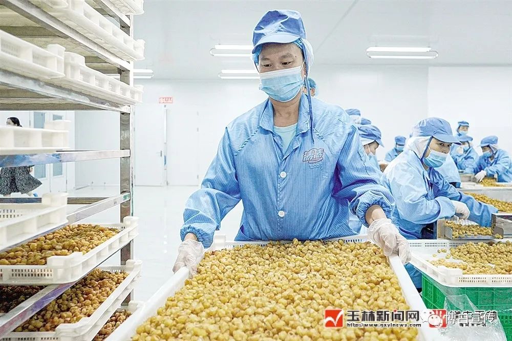 玉林富硒产品生产基地（玉林基地生产富硒产品吗）-硒宝网