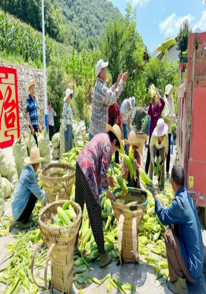 安康大力发展富硒产品(安康富硒产业)-硒宝网