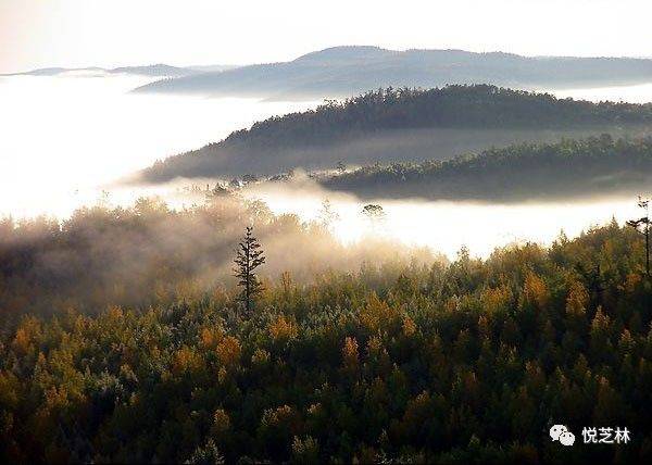 完美产品有没有含富硒（含富硒的保健品）-硒宝网