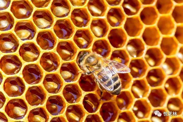 完美产品有没有含富硒（含富硒的保健品）-硒宝网