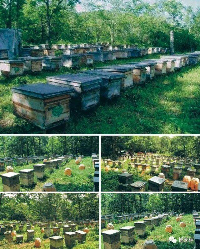 完美产品有没有含富硒（含富硒的保健品）-硒宝网