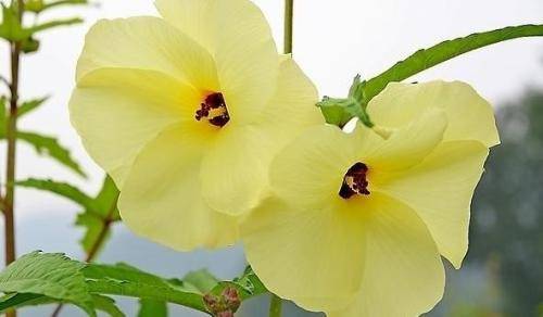 完美产品有没有含富硒（含富硒的保健品）-硒宝网