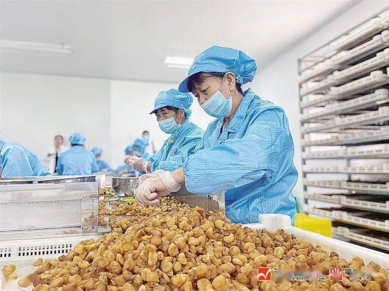 玉林富硒产品生产基地（广西富硒食品）-硒宝网