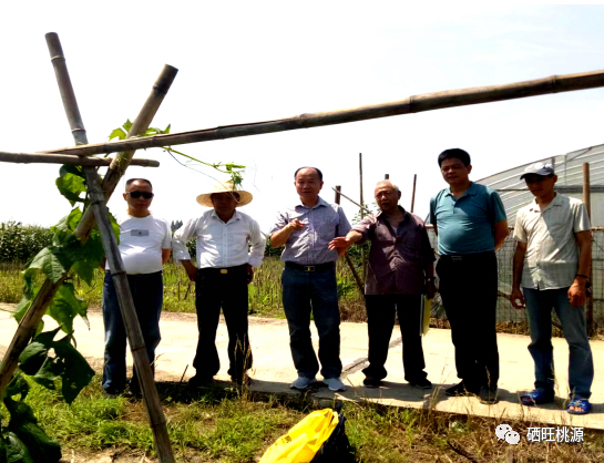 桃源富硒产品有限公司（桃源富硒农产品专卖店）-硒宝网