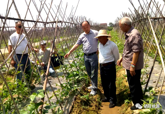 桃源富硒产品有限公司（桃源富硒农产品专卖店）-硒宝网