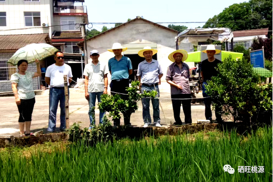 桃源富硒产品有限公司（桃源富硒农产品专卖店）-硒宝网