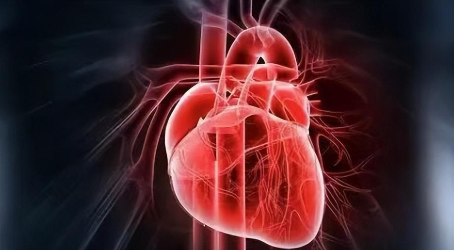 为什么选择富硒产品呢（富硒产品选择什么品牌）-硒宝网