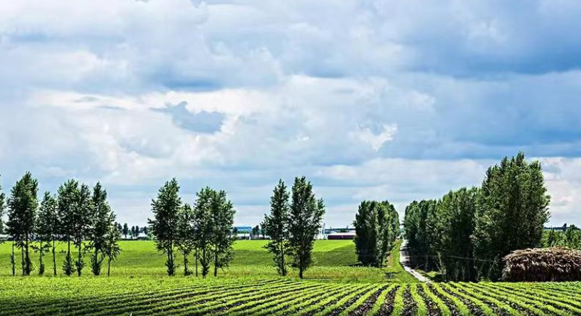 为什么选择富硒产品呢（富硒产品选择什么品牌）-硒宝网