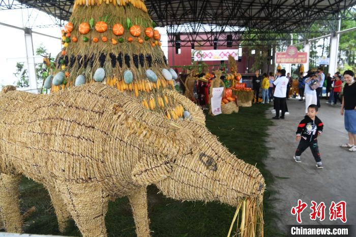 富硒农产品展2021(富硒农业)-硒宝网