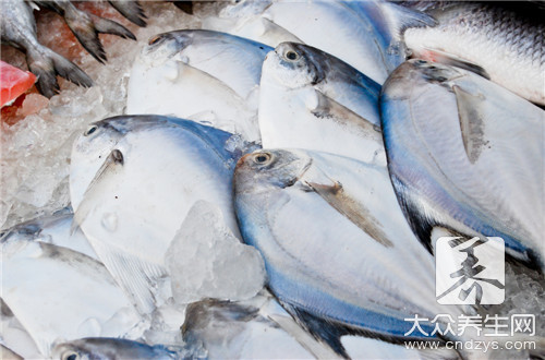 吃什么鱼补钙最好(鱼补钙效果好吗)-硒宝网