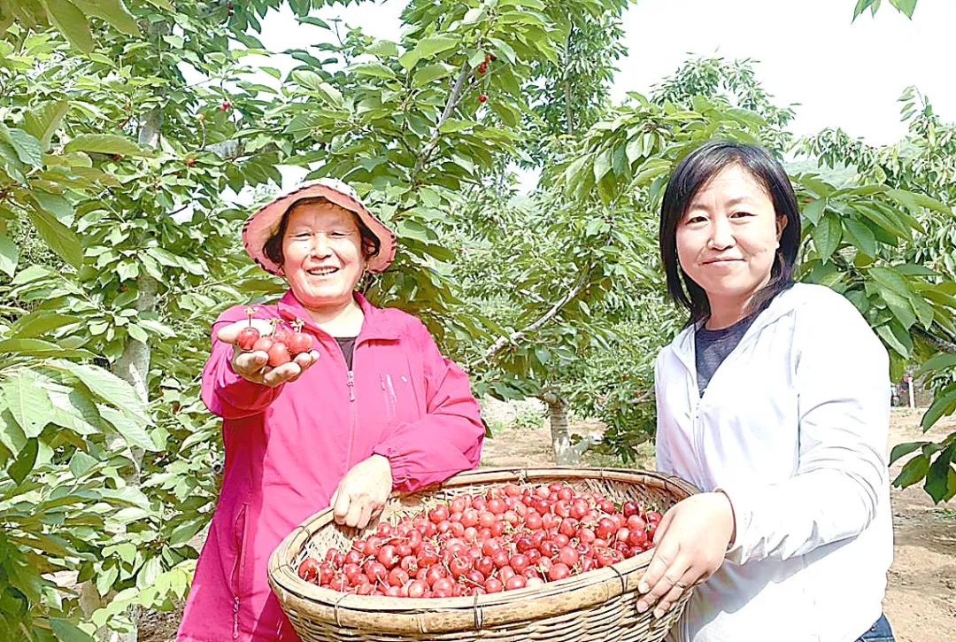 河南富硒产品种植基地（种植河南基地富硒产品有哪些）-硒宝网