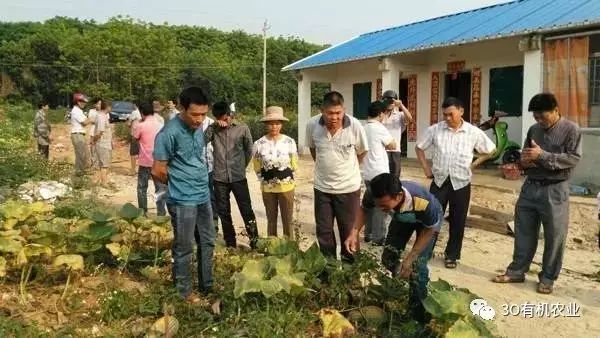 阿克苏农产品富硒含量（富硒小麦硒含量标准）-硒宝网