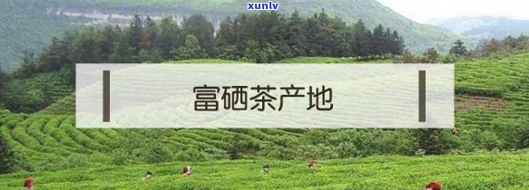 有什么茶叶是富硒产品(富硒茶叶硒含量标准)-硒宝网